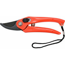 99193 SODO ŽIRKLĖS...