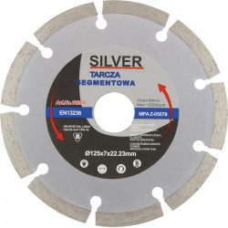 ***EX10205 DISKAS D.SILVER 300*25.4 SEG...