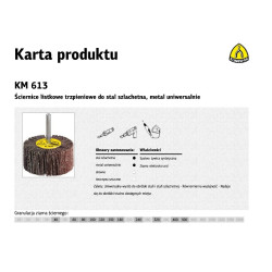 12999 K.ŠLIFAVIMO DISKAS LT.50*20*6 P100 KM613...