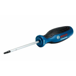 1600A01V0C BOSCH TX20 x 100 mm atsuktuvas