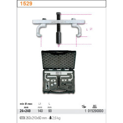 1529 BETA SKRIEMULIO SKRIEMULYS...