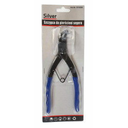 10526 SEGER REPLĖS ILGOS / SIDABRINĖS