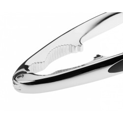 312C-DZOR GERLACH.NUTCRACKER KIETAS