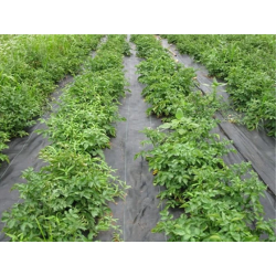 MOD3852 AGROTECHWASTE /90g/ 1.1x100m BLACK