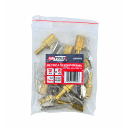 AW10153 AWTOOLS siurblio galvutė 6 mm / žalvaris 10 vnt.