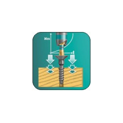 05059860001 WERA TH END PH 2x 50mm /10vnt.