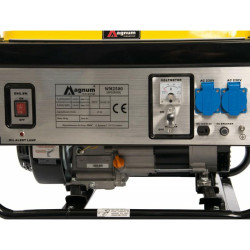 17185 MAGNUM GENERATOR PRĄDOWTWÓRCZY DF-2500H 230V, 2,5KVA