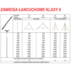 42070113W 4 ĮTEMPIMO GRANDINĖS STROPAS. 4,25T/3,0 m Kablys su saugos įtaisu / varžtas D8 G80 4C