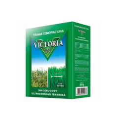 TC4408 VICTORIA RENOVATION GRASS 0,8 kg Partijos nuoroda: PL330/09/10060/M491/A