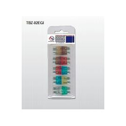 TBZ02EGI             SAUGUMO PLOKŠTĖ 10 vienetų / UNION